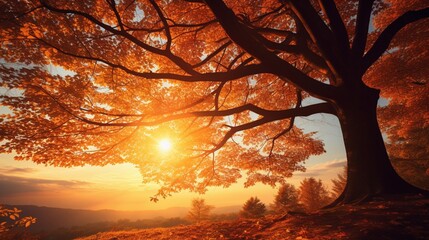 Wall Mural - A golden sunset casting a warm glow on a countryside road, lined with trees displaying their autumn attire.
