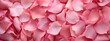 Delicate macro shot of a pink rose petals surface.