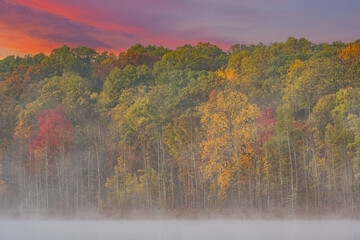 Wall Mural - Foggy autumn landscape at dawn of the shoreline of Deep Lake, Yankee Springs State Park, Michigan, USA