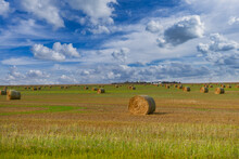 Hay Bales In A Field, British Columbia, Canada