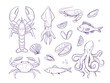 Seafood. set of vector sketch line illustrations, crab, lobster, shrimp, fish