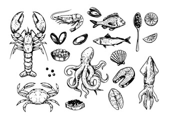 Seafood. set of vector sketch illustrations, crab, lobster, shrimp, fish. Black outline on transparent background