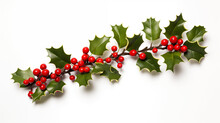 A Closeup Shot Of European Holly Leaves And Red Fruits Isolated On White Background