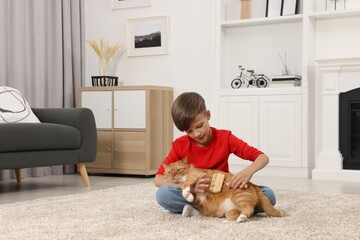 Poster - Little boy brushing cute ginger cat's fur on soft carpet at home