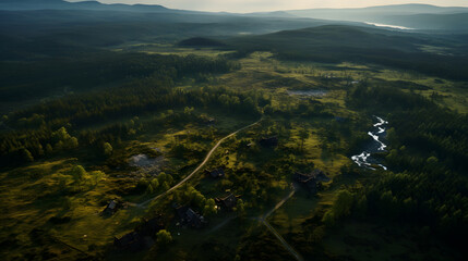 Wall Mural - Aerial view of a beautiful summer landscape with a path leading to the sea