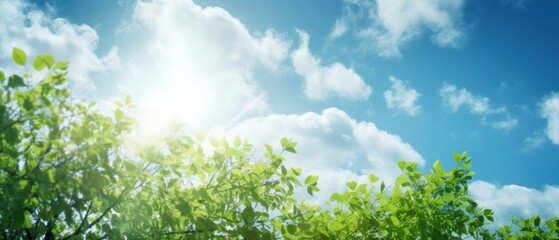 Wall Mural - Beautiful fresh grass and yellow spring in nature against a blurry blue sky with clouds landscape, Geneartive AI