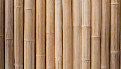  bamboo texture background