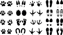 Set Of Different Foot And Paw Vector 