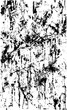 © Anastasia - Vector black and white grunge texture vertical. Abstract monochrome design for your project. Backdrop for printing posters, business cards, websites