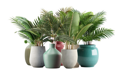Wall Mural - Group of tropical banana trees (Musa spp.) and coconut palm plants in colorful or gray vases, indoor design. Isolated on a transparent background. PNG cutout or clipping path.