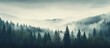 Retro style misty forest scenery with firs