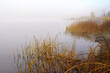 Morning Fog on the Lake