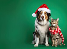Holiday-themed Portrait Of A Dog In A Santa Claus Hat And A Cat Wrapped In A Candy Cane-patterned Scarf.