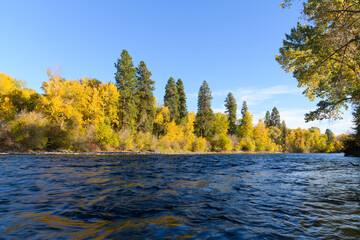 Fall color glowing on yellow trees alongside the blue water of Yakima River