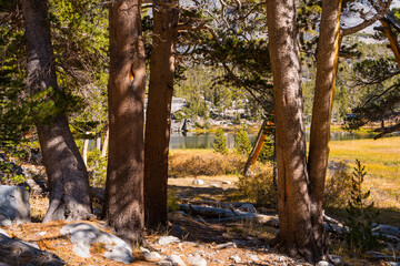 Wall Mural - Hiking in Little Lakes Valley in the Eastern Sierra Nevada Mountains outside of Bishop, California. Alpine lakes, fall leaf colors, snow capped mountains and evergreen trees combine to make a pictures