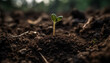 © Stockgiu - Fresh green growth of a seedling in the muddy dirt generated by AI