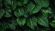 © Breyenaiimages - tropical leaves background top view, closeup nature view of green leaves background. Generative AI