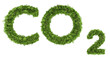 © CHIC studio - Ecology word CO2 carbon dioxide made of grass in 3d render image symbol concept on white background