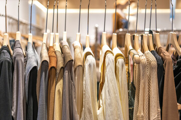 Inside the ladies' clothing store. Style and fashion.