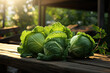 cabbage on the wooden table outdoor