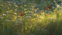 A Vibrant Meadow, Filled With Colorful Flowers And Fluttering Butterflies Generated By AI