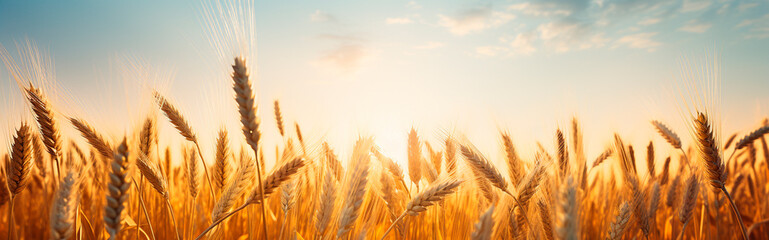 Ears of wheat in a wheat field. Generative AI,