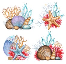 Hand Drawn Sea Compositions With Shells, Pebbles, Corals, Algae. Watercolor