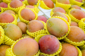 Poster - Stack of mango sell in supermarket