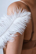 © blackday - Female body and soft feather. Concepts of body cosmetics and  hair removal treatment