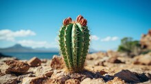 A Cactus Standing Tall In The Barren Desert. Generative AI.