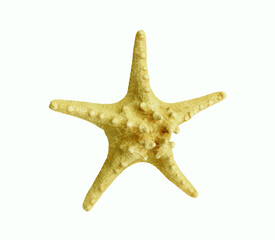 Wall Mural - One yellow sea star isolated on white