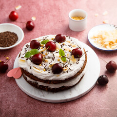 Canvas Print - Homemade chocolate cake with coconut and cherry