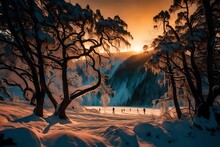 Orange Leaves And Trees Growing In The Middle Of The Snow  With Sunset In The Evening 