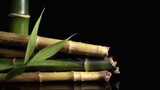 Fototapeta Sypialnia - Fresh Bamboo And Charcoal On Black Background