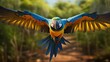 Blue and Yellow Macaw in Pantanal, Brazil