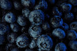 © kohanova1991 - Extreme macro blueberries background. Fresh ripe summer organic berries harvest.