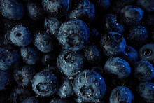 Extreme Macro Blueberries Background. Fresh Ripe Summer Organic Berries Harvest.
