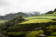 Verregnete Berglandschaft auf den Azoren