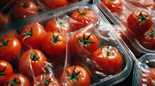 Organic Tomatoes Wrapped In Plastic In Tray