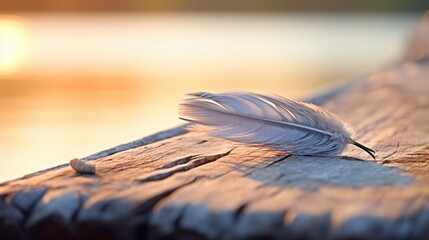 Canvas Print - A feather rests on a wooden plank near the water, AI