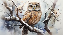 A Watercolor Painting Of An Owl Sitting On A Snowy Branch, Closeup Of A Bird's Life