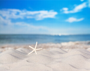 Wall Mural - View of a beach with starfish on the sand under the hot summer sun, selective focus. Concept of sandy beach holiday, background with copy space for text