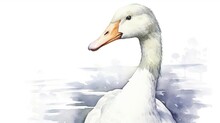 White Bird Goose Closeup Watercolor Illustration