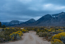 Cloudy Morning In The Buttermilks, At The Foothills Of The Sierra Nevada Mountains In Bishop California. Fall Colors And Snow Capped Mountains With Large Clouds.