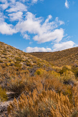 Wall Mural - Views while hiking to Crowley Lake. Lots of clouds with a blue sky and autumn leaf colors.