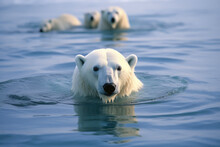 Arctic King: Polar Bear Amidst Northern Wildlife