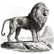 Vintage Engraving of European Cave Lion: 1800s Style Illustration on White