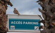 a bird perched on a park sign betweem two palms 