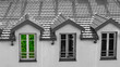 three roof windows black and white with green plant reflection on the glass