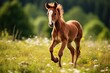  a foal running through a field of grass and wildflowers with a blurry background of the grass and wildflowers, and trees in the foreground.  generative ai